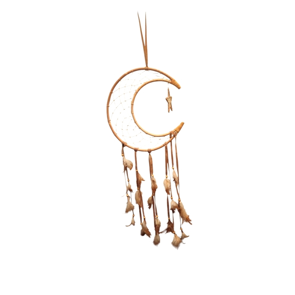 Moon Shaped Dreamcatcher with Feathers And A Star